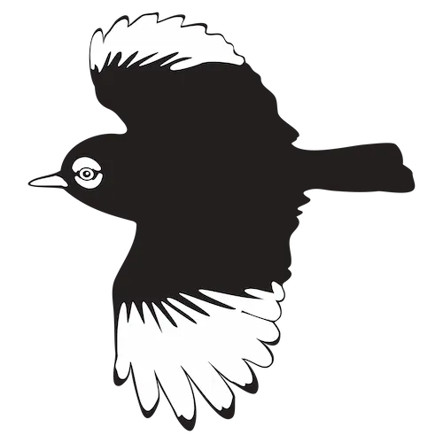 Nuestras Aves
